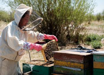 Strengthening CSOs-LAs Partnership in the Agricultural Sector in Khentii Province