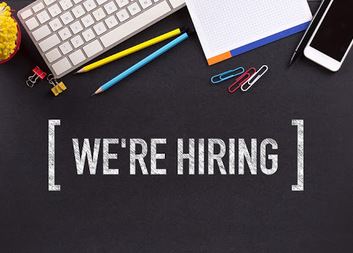 We are looking for an AUDITOR