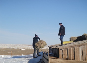 Improving food security of herders’ population dependent on animal husbandry 