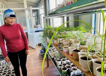 How One Economist Gardener is Combating Climate Change