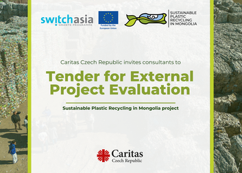 Tender for External Project Evaluation 